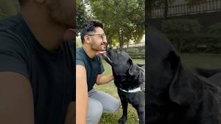 Lucky Ke Sath Outing doglover lucky [upl. by Epilif]