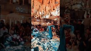 fevicolse dabangg sangeetdance holuddance weddingdance haldidance theneverendingdesire [upl. by Amron]