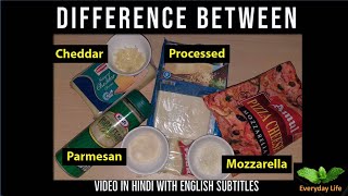 Difference bw Mozzarella Processed Cheddar amp Parmesan Cheese  चीज़ के प्रकार  Everyday LIfe 47 [upl. by Ayotahs]