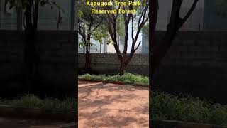 Kadugodi Tree Park whitefieldbangalore [upl. by Nakada842]