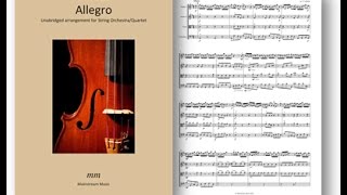 Fiocco Allegro  Unabridged [upl. by Theone]