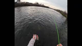 Fly Fishing the Tuolumne River CA  11824 [upl. by Einneg]