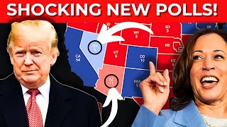 Shocking Arizona and Nevada Polls for September Trump vs Harris [upl. by Eidnahs544]