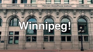 Exploring Winnipegs Exchange District — Winnipeg Canada is Underrated [upl. by Najed282]