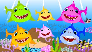 Baby Shark  Animal Songs BEST Baby Shark Dance Song  CoCocalf Nursery Rhymes amp Kids Songs [upl. by Symons837]