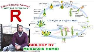 Protonema stage in the life cycle of Mosses Funaria [upl. by Jourdan]