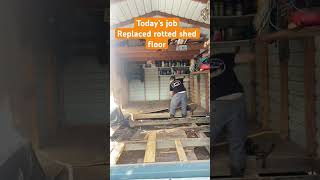 handymanreplacing rotted shed floor [upl. by Ginni754]