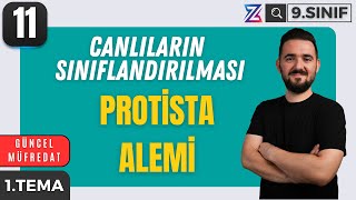 9 SINIF BİYOLOJİ YENİ MÜFREDAT  PROTİSTA ALEMİ  MAARİF MODELİ  11 DERS [upl. by Nyladam]