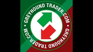 Greyhound Trader Towcester PreDerby Sales 2024 [upl. by Sheelagh787]