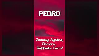 PEDRO  Jaxomy Agatino Romero Raffaella Carrà TikTok Song shorts shortsfeed [upl. by Lipps]