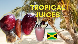 How to Jamaican Otaheite Apple  Carrot Juice Recipe  So Delicious [upl. by Enyahs494]