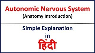 Autonomic Nervous System Anatomy in Hindi  ANS Introduction  Bhushan Science [upl. by Anaiviv]