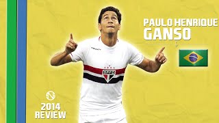 PAULO HENRIQUE GANSO  Goals Skills Assists  São Paulo  2014 HD [upl. by Zenia]