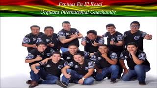 Espinas En El RosalOrquesta Internacional Guachambe [upl. by Sheff]