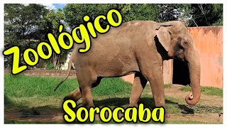 ZOOLÓGICO DE SOROCABA  PASSEIO EM FAMÍLIA  Família Gaspar [upl. by Auqkinahs]