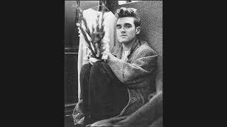 Morrissey  Interlude [upl. by Reggis608]