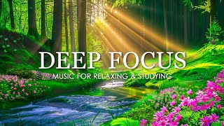 Deep Focus Music To Improve Concentration  12 Hours of Ambient Study Music to Concentrate 766 [upl. by Eiclud157]