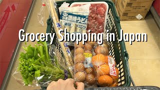 Last Shopping Compilation of 2023 🎵supermarket goodies shop amp 100yen store in Japan [upl. by Violeta]