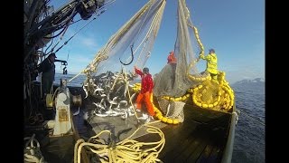 Alaska Fisherman 2016  Purse Seining [upl. by Kam]