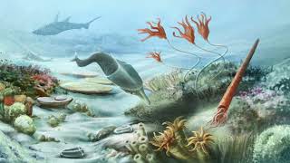 History of the Earth Part 2 Phanerozoic Eon – Paleozoic Era [upl. by Oinigih718]