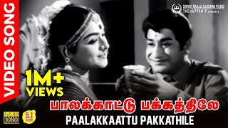 Paalakkaattu Pakkathile HD Video Song  51 Audio  Sivaji Ganesan  Padmini  TMS  P Susheela [upl. by Clintock]