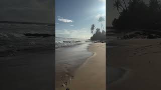 Exploring Sri Lankas Most Beautiful Beaches [upl. by Seugram252]