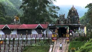 Lord Murugan Temple Munnar [upl. by Notfol]