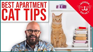 BEST Apartment Cat Hacks [upl. by Srevart388]