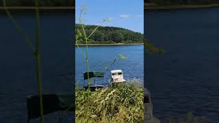 Vlasinsko jezero jul 2024 nature lake shorts relaxingmusic music relaxing travel [upl. by Larkins]