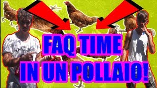 PRIMO FAQ TIME NEL POLLAIO ABBIAMO RUBATO UN MOTORINO [upl. by Ramin]