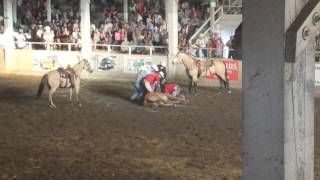 Horse breaks neck in rodeo [upl. by Alethea233]