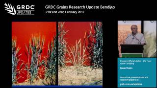 Russian Wheat Aphid War Room Briefing  Three Experts  2017 Grains Research Update  Bendigo [upl. by Balough]