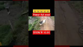 Powerfull woo comedy ytcommedy ytshort shortfeed funnycomedy vital trending powerful [upl. by Greenleaf]