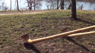 2 Alphorn Players at the Chatzensee in Switzerland [upl. by Aikin]