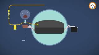 Biodigestores Energía limpia para un futuro sostenible [upl. by Donoghue184]