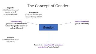 Introduction to Gender Studies [upl. by Topper]