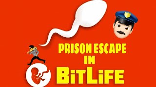 HOW TO ESCAPE EVERY PRISON IN BITLIFEEASIEST WAYS POSSIBLE [upl. by Reg]