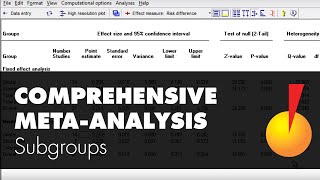 MetaAnalysis Subgroups  Comprehensive MetaAnalysis [upl. by Chassin]