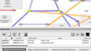 Exploring KEGG global metabolic pathway using Cytoscape [upl. by Ostraw]