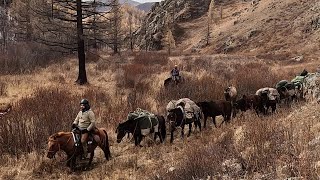 Stone Horse Expedition  October Horse Riding Adventure in Mongolia [upl. by Heathcote]