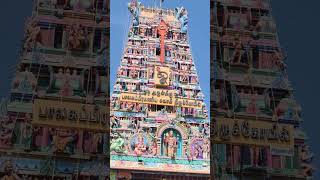 God முருகன்murugar vibesmuruga temple சிறுவாபுரி temple [upl. by Donadee]