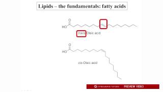 Biochemistry Lipids tutorial [upl. by Retluoc86]