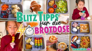 Schnelle ⚡️ Tipps für die Brotdose  Frühstück für Kita und Schule  Brotdosenvergleich  mamiblock [upl. by Aida]