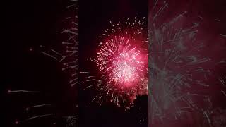 Firework PERFECT 2024 31 in 4K shorts viral fireworks [upl. by Mohammed538]