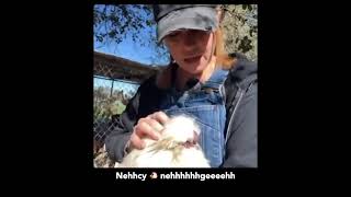 Momentus The Spicy Chicken Nugget Song with Kim Rhodes [upl. by Blase125]