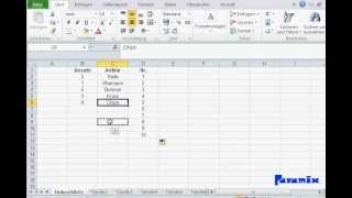 Excel Grundlagen Aufteilung Drag amp Drop Formatierung Inhalte amp Muster Übertragen [upl. by Ahsiekram]