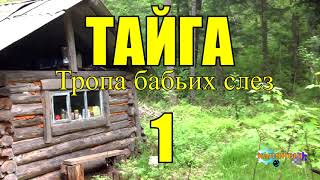 ОТШЕЛЬНИКИ  ЖИЗНЬ В ТАЙГЕ 1 из 16 [upl. by Esiuqcaj]