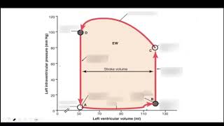 Seminario repaso cardio valvulopatias [upl. by Jackelyn]