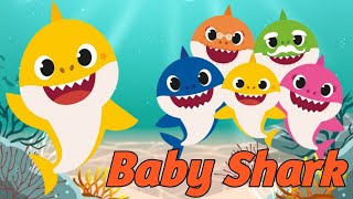 Baby Shark doo doo Song amp Dance  Baby Shark doo dootoddlers [upl. by Demeter]