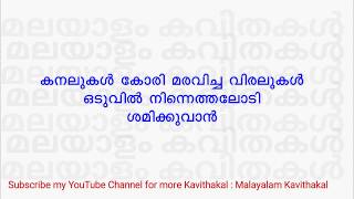 Maranamethunna Nerathu Song with lyrics  മരണമെത്തുന്ന നേരത്ത്  Shahabaz Aman version [upl. by Coraline865]